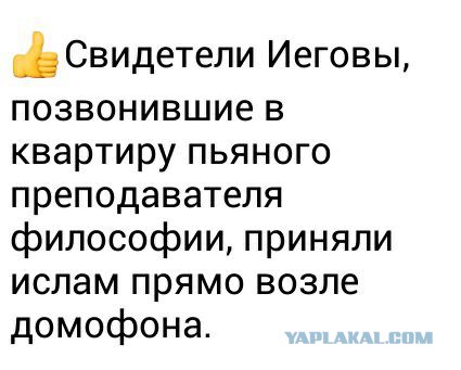 Немного странного юмора на вечер