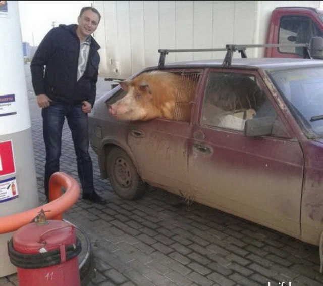 Чудики из социальных сетей