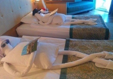 WTF: что тут происходит?