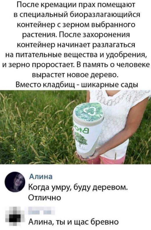 Немного картинок для настроения