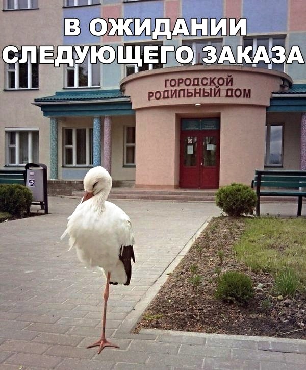 Картинки с надписями,истории и анекдоты