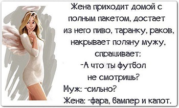 Применим физику в постели или белка и стрелка. Картинки