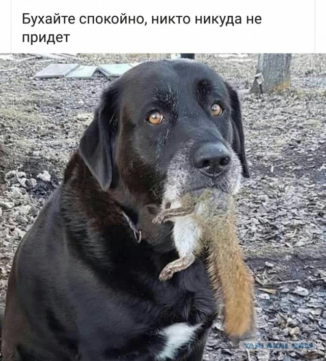 Как распознать блядь