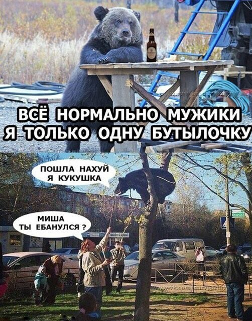 Порция идиотизма лениво на одну страницу