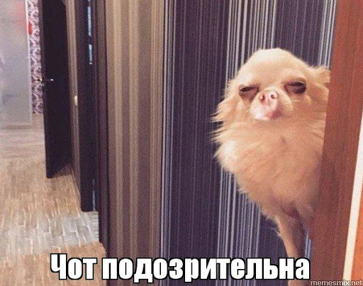 В Екатеринбурге неизвестные похитили человека из дома