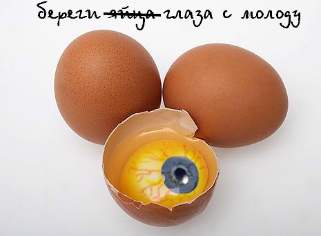Фотожаберы откликнитесь: техника безопасности