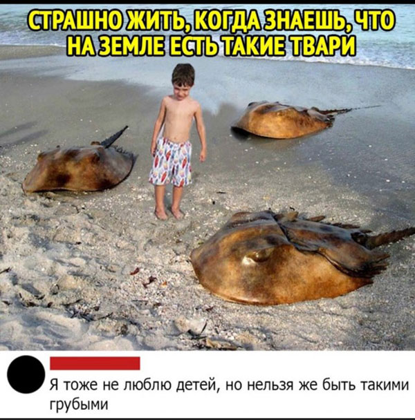Бредзона 04.10.20