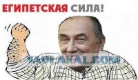 Будь мужиком, скажи что думаешь!