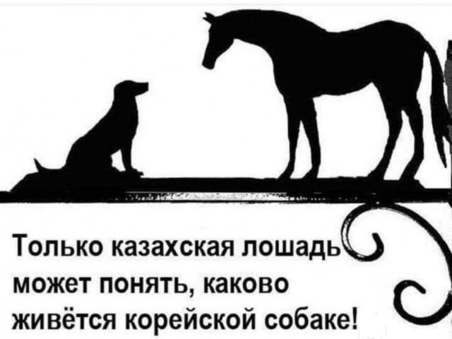 Картинки с надписями и всякие жизненные фразы
