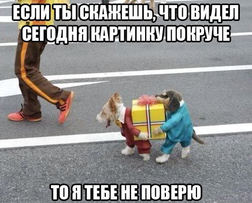 Боянистые картинки 19.12.20