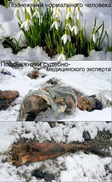 Аморальная деградация