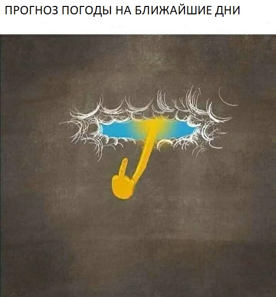 15622547.jpg