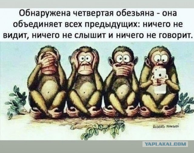Так себе картинки 06.07.21