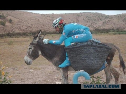 Очешуевший хруст летит между машин в Москве