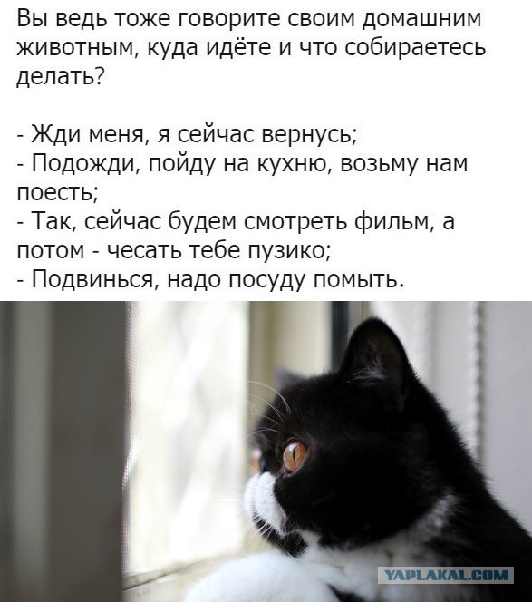 Картинки и мемы для настроения 24.08.2021