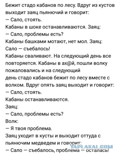 Началось...