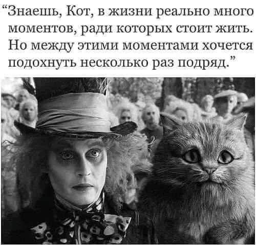 Не на нас, а на вас