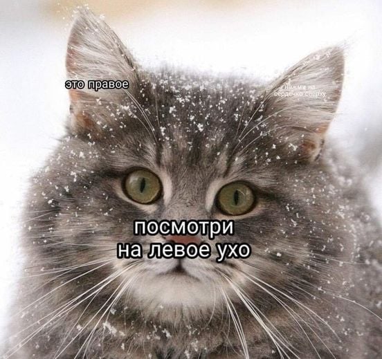 Делайте выводы