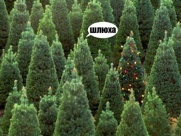 Новогодние и разные картинки