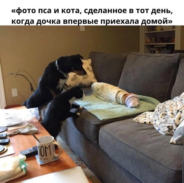 Так себе картинки 11.02.22