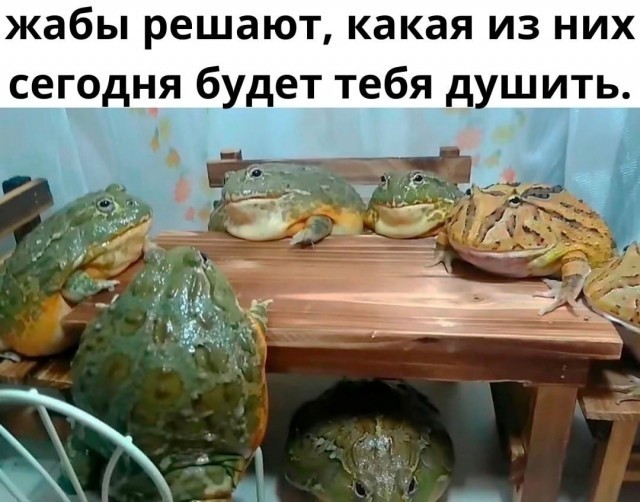 Немного картинок и прочей хреноты Vol. 3