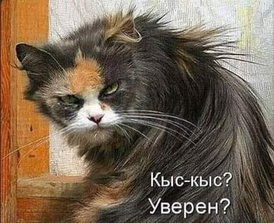 Завтра Тоже Выходной!