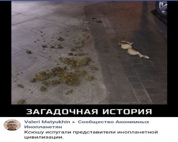 Картинки и мемы - "Жить, как говорится, хорошо..."