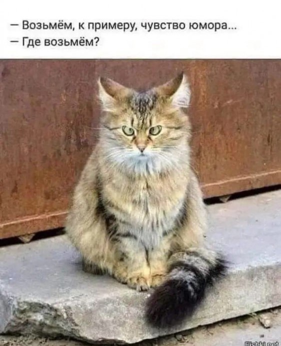 ФРГ предрекли массовые протесты против властей по чешскому образцу