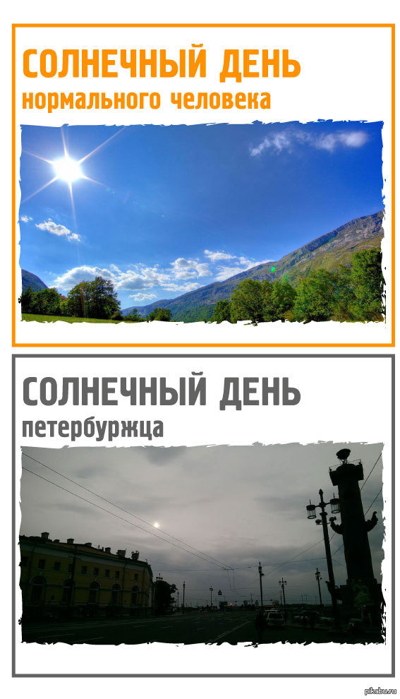 Пандемия съехавших крыш - разновидности болезни. Россия и мир. Часть 43.