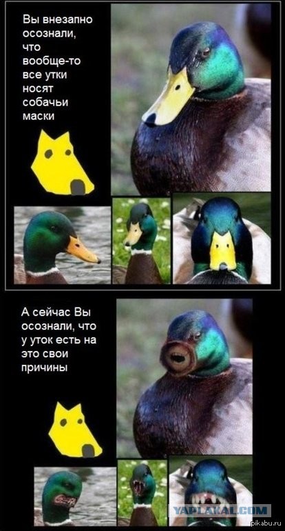 Смотри, Кутузов, не перепутай... vol.3