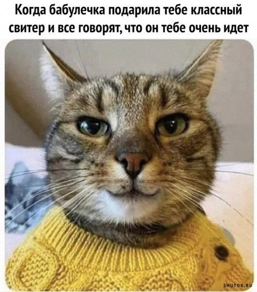 Картинок разной степени @банутости псто.
