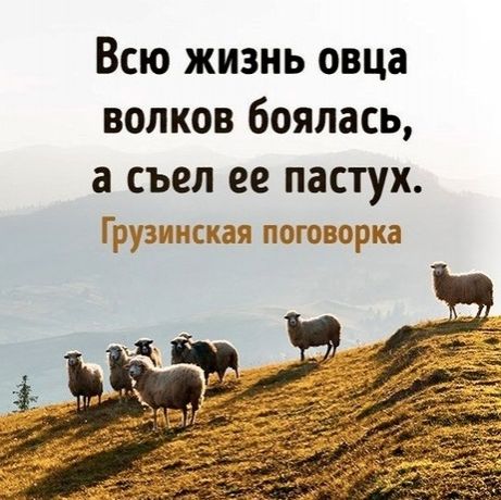Так себе картинки 26.05.23