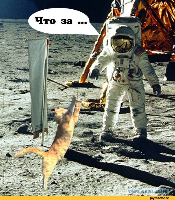 Химия и жизнь
