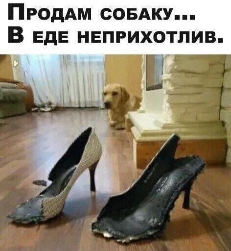 Юмор в картинках и без
