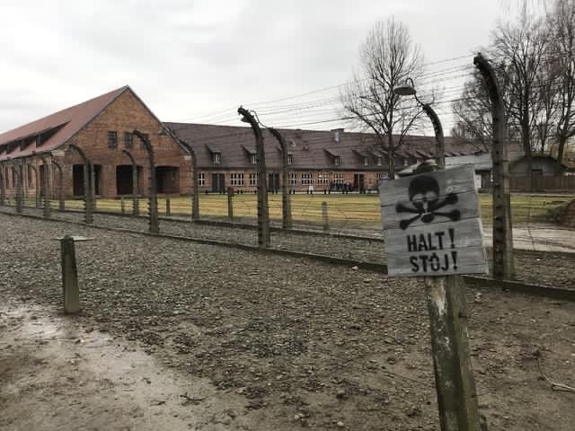 2025 (Krakow) Auschwitz-Birkenau & Wieliczka in one day Half Private Tour