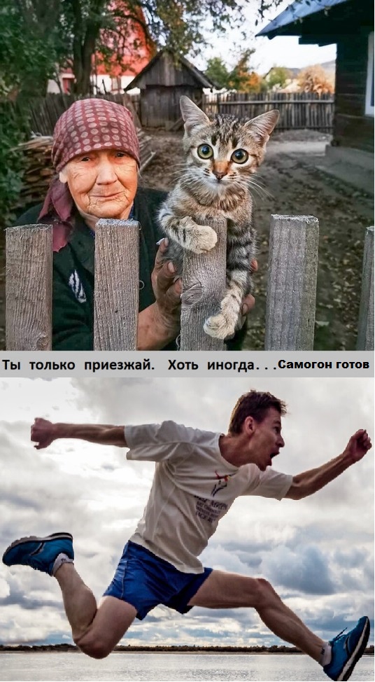 Так себе картинки 11.05.24