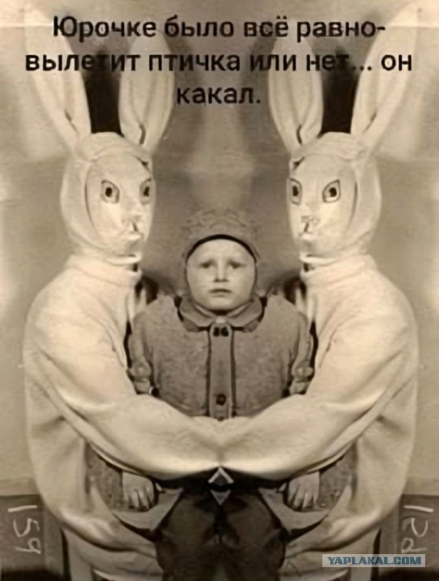 Мы тоже были квадроберами