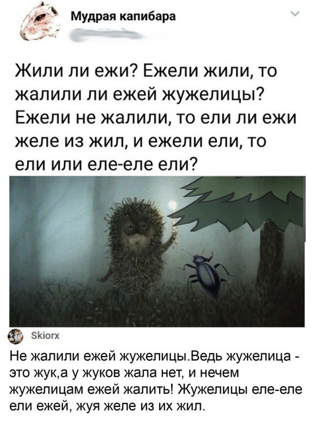 Весёлые картинки 2