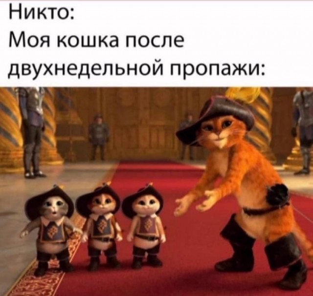 Типичная современная баба