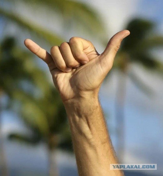 Здравствуй человек