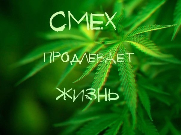 Прикольные и просто красивые картинки 01.08.2025
