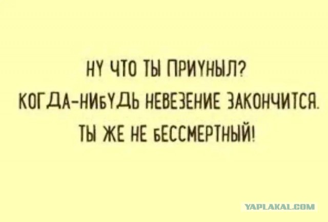 Под Торжком автомобилист устроил смертельное ДТП на встречке