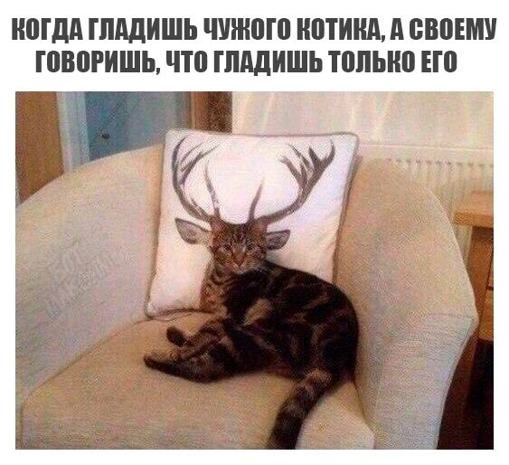 Среды картинки