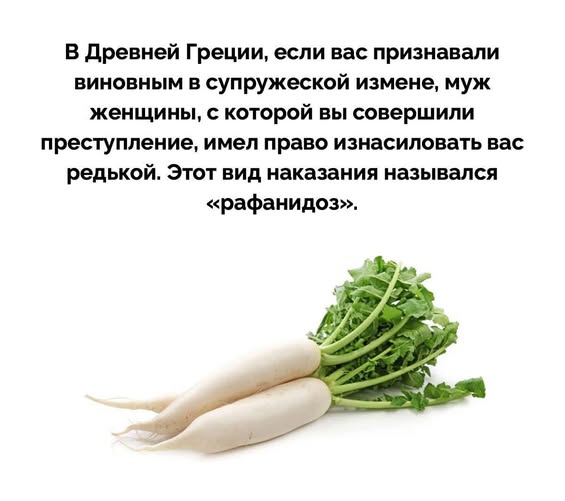 Веселые картинки в понедельник (22.12)
