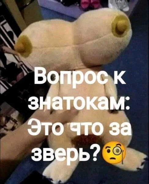 Последняя маленькая пятница 2025