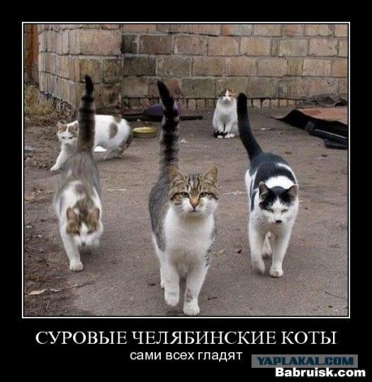 это разборка!