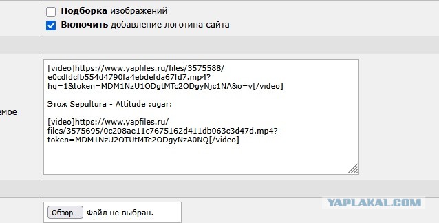 Отсутствие морально этических норм Vol.59
