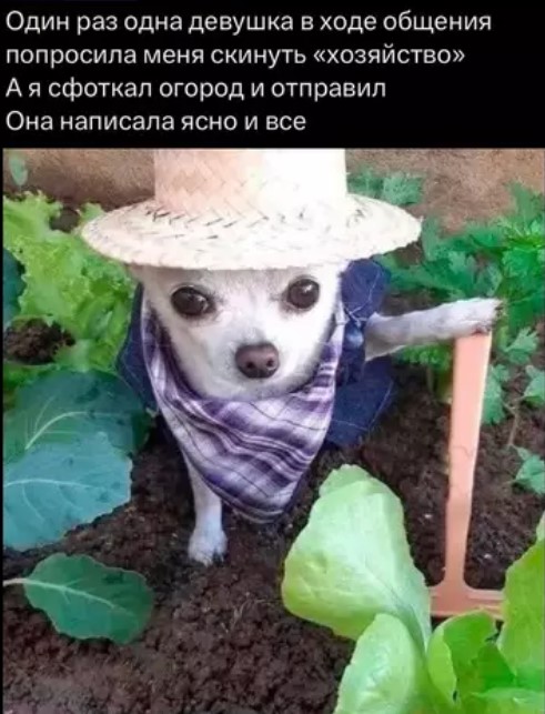 Картиночки, баянчики 23 марта