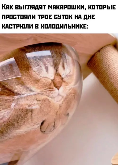 Картиночки, баянчики 11 апреля