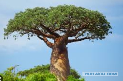 Не верь Нагулявшейся зрелой женщине